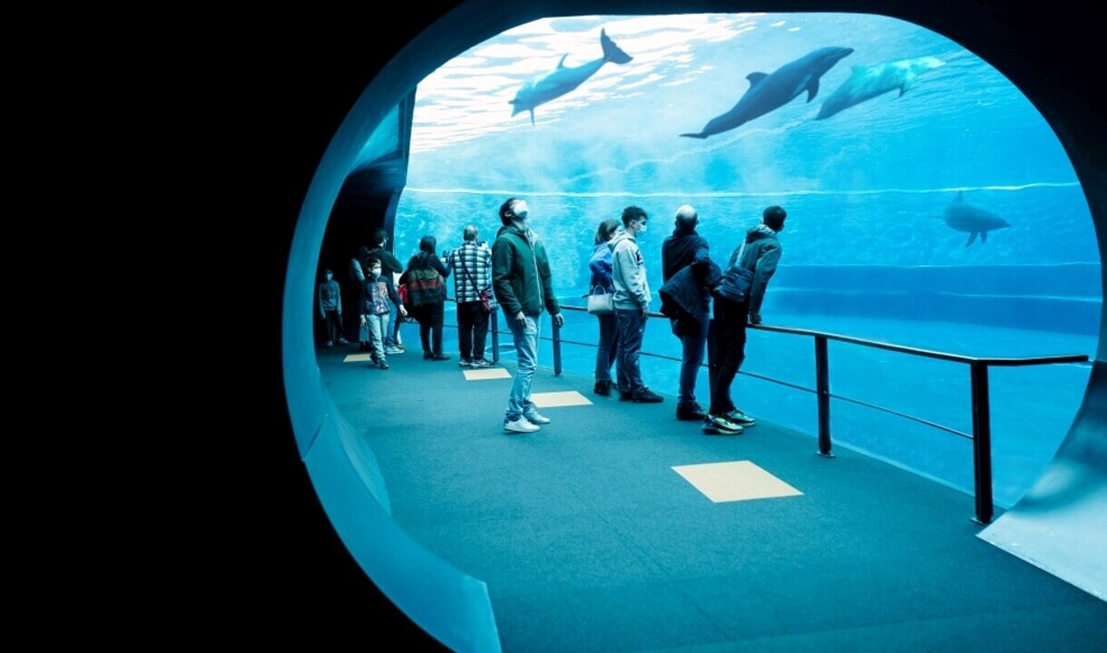 cropped-Padiglione-Cetacei-Acquario-di-Genova.jpg